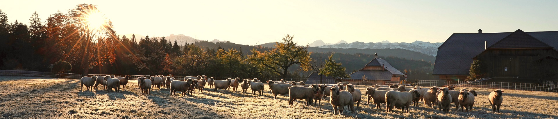 Impressionen Gemeinde Röthenbach i. E.