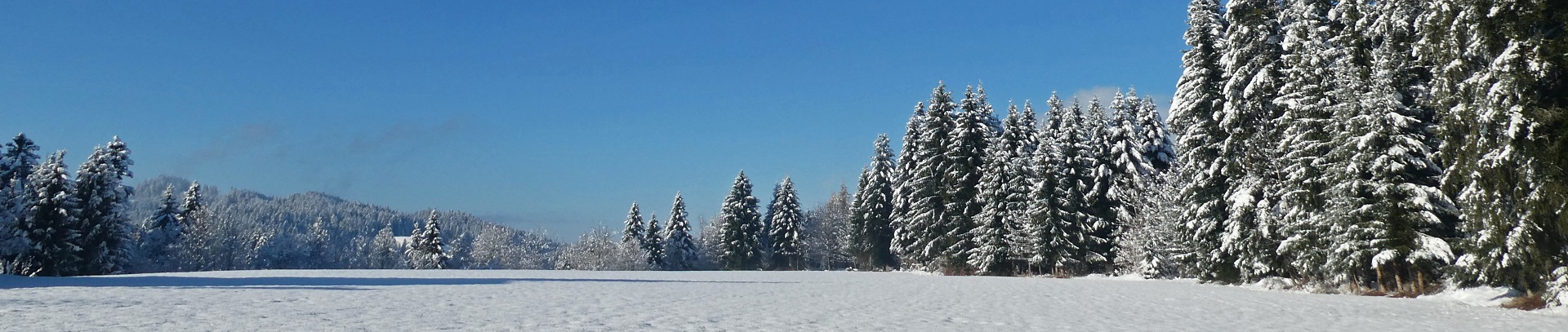 Impressionen Gemeinde Röthenbach i. E.